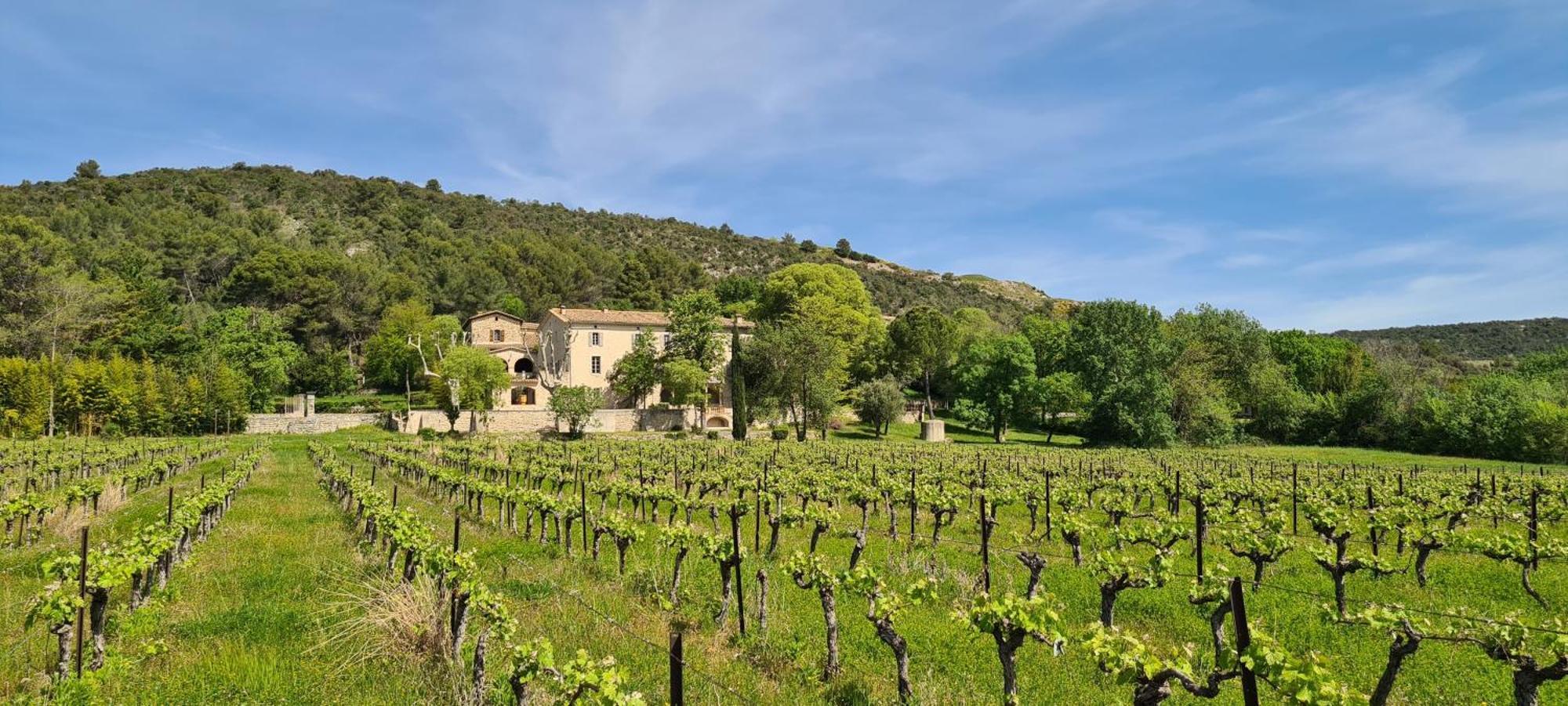 La Bastide De Peyremale, Gites En Cevennes, Piscine, Tennis Bagard Екстериор снимка